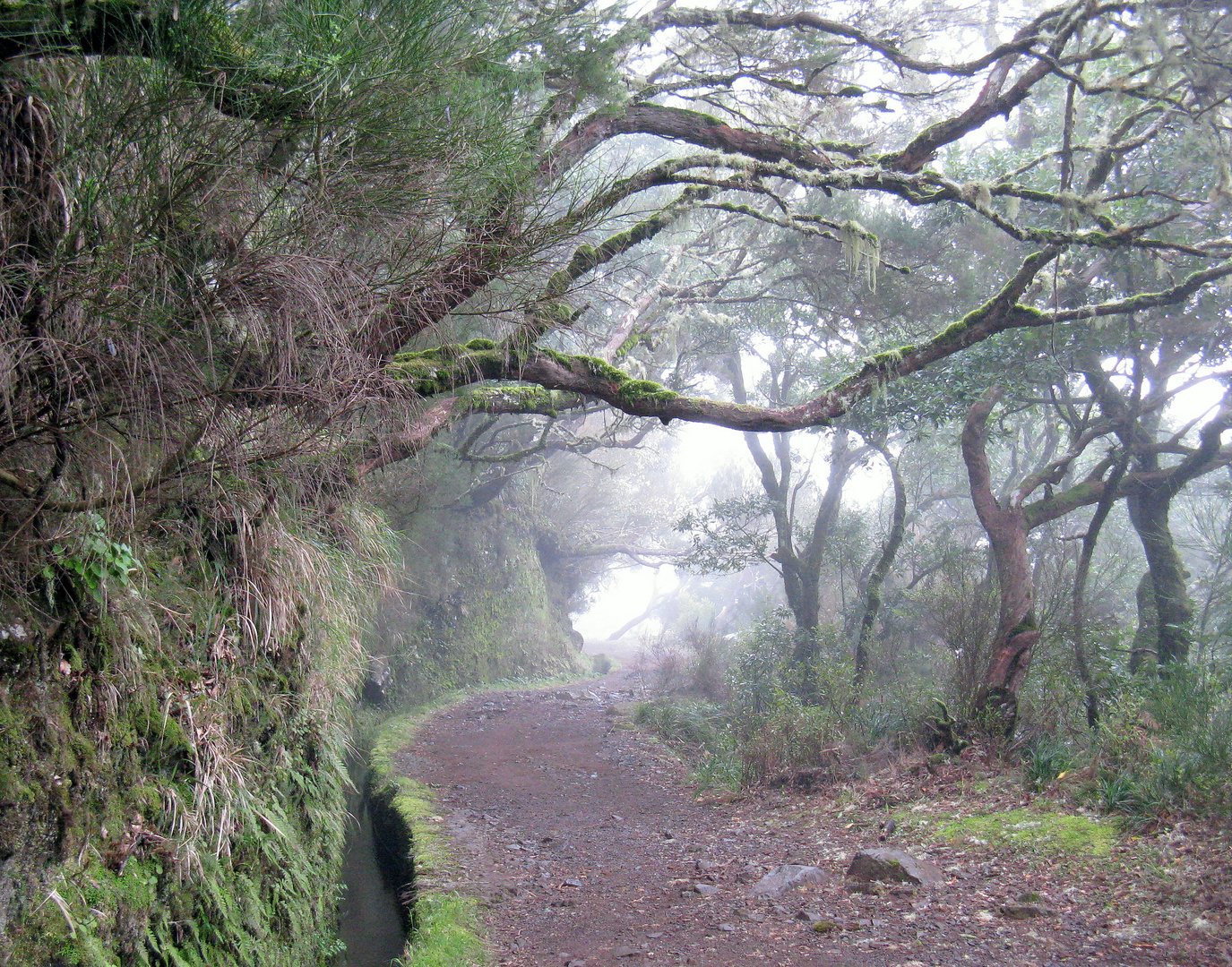 Wanderweg auf Madeira