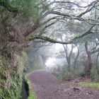 Wanderweg auf Madeira