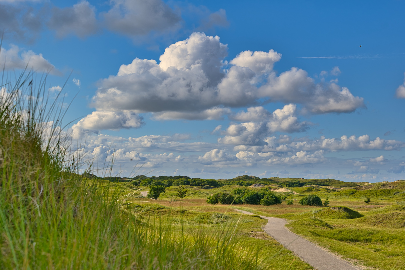 Wanderweg auf Norderney