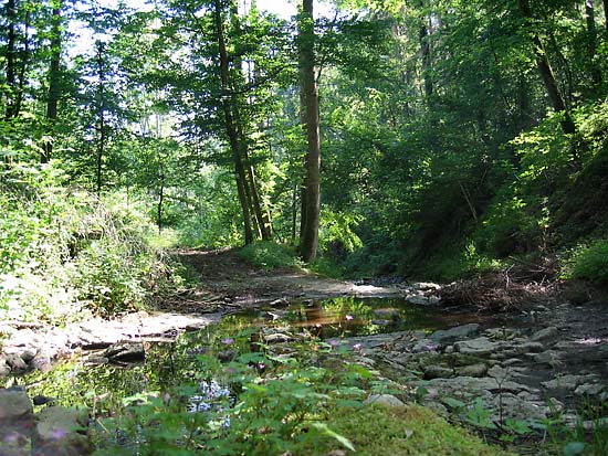 Wanderweg Bachüberquerung