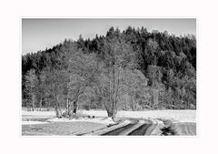 Wanderweg bei Auerbach