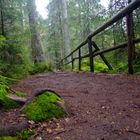 Wanderweg bei dem Etang de la Gruère