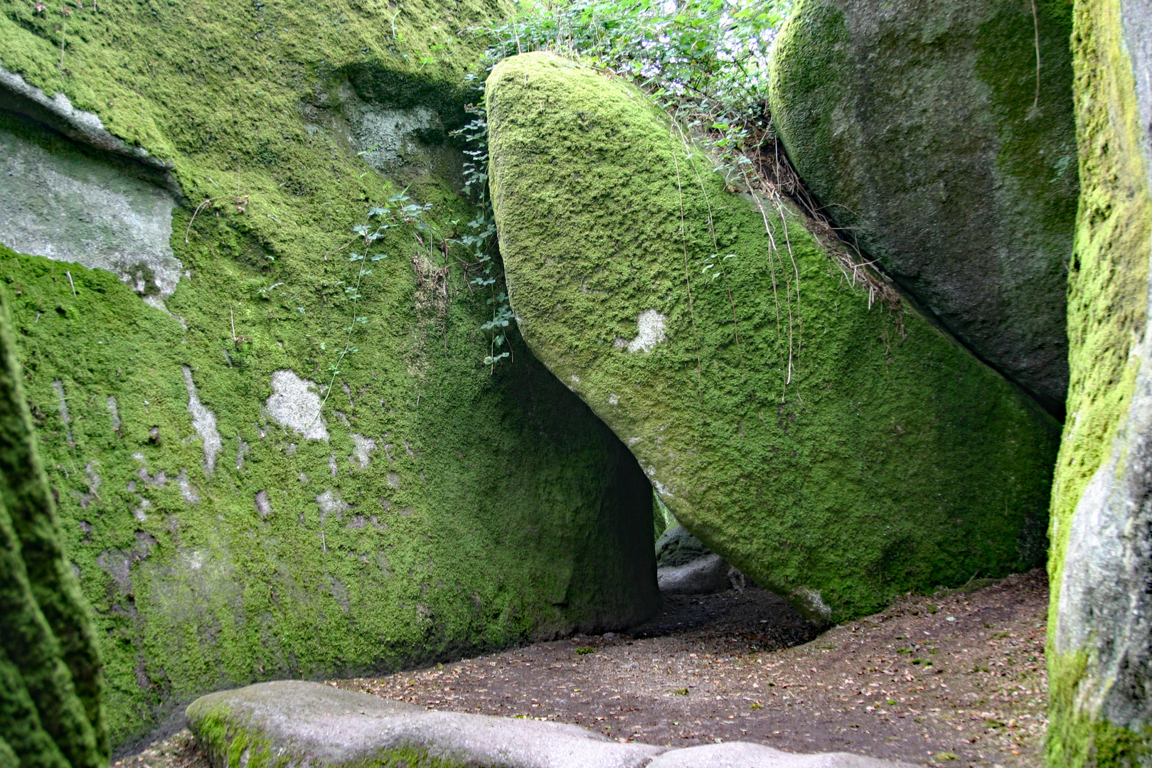 Wanderweg bei Huelgeot mit Durchblick (Bretagne)