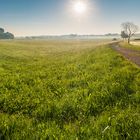 Wanderweg bei Kettershausen