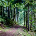 Wanderweg bei Seewald-Schernbach