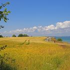 Wanderweg Brodtener Steilufer 