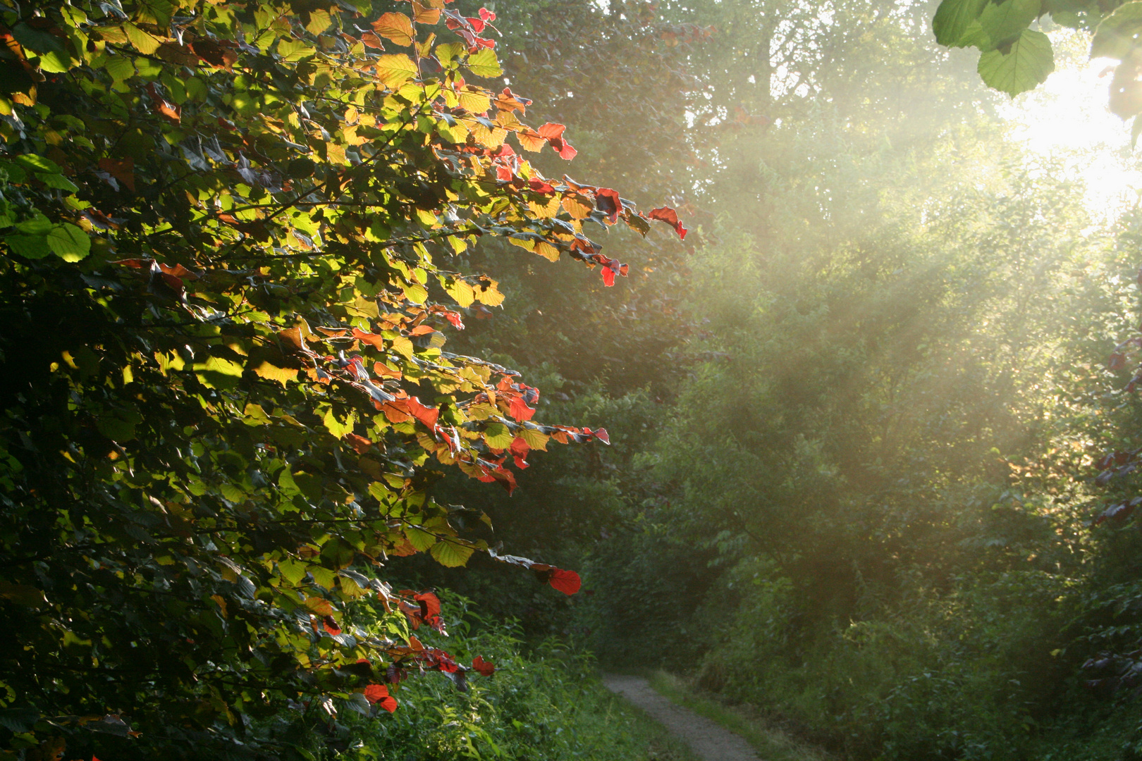 Wanderweg...