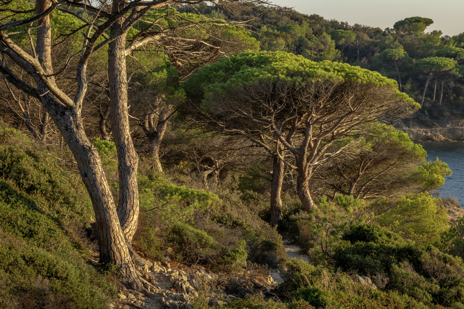 Wanderweg Cap Lardier