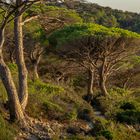 Wanderweg Cap Lardier