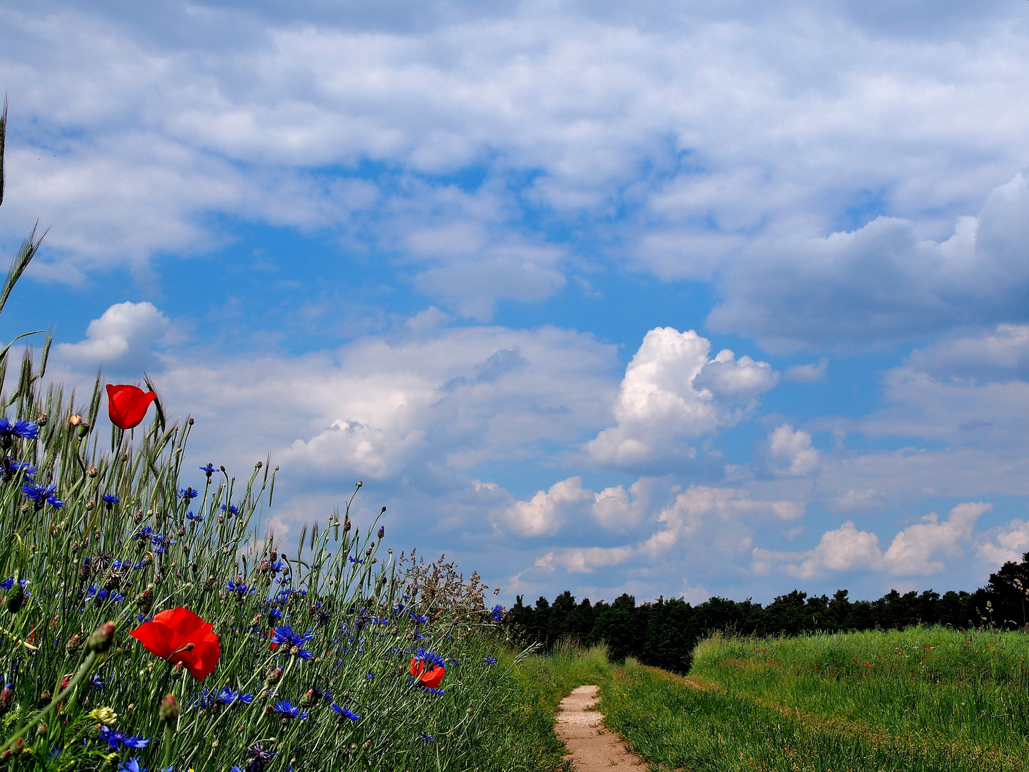 Wanderweg