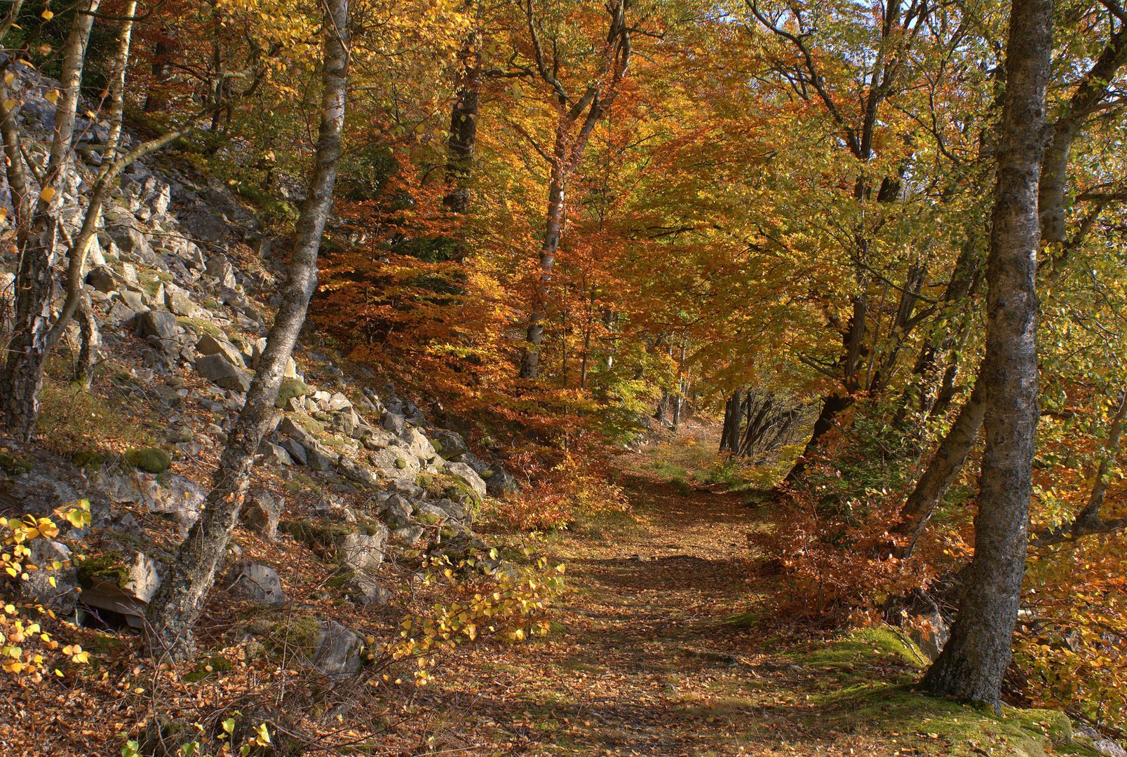 Wanderweg