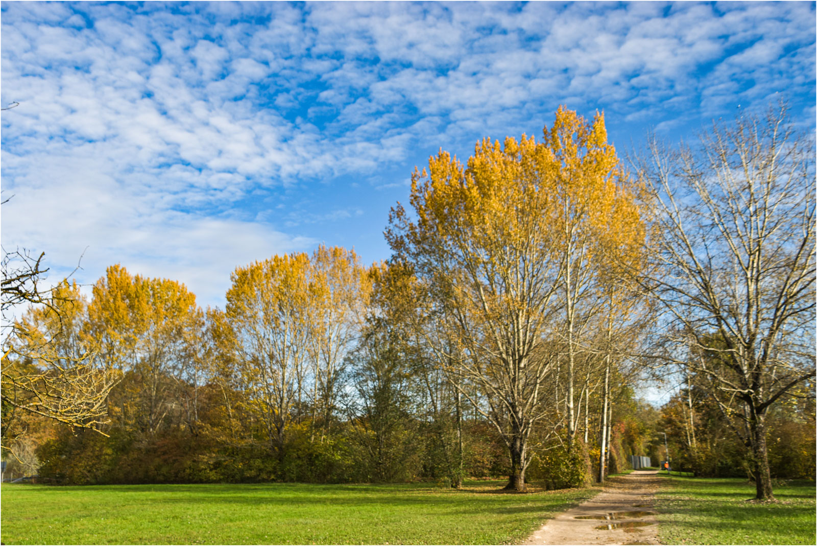 Wanderweg der Aare entlang