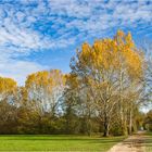 Wanderweg der Aare entlang