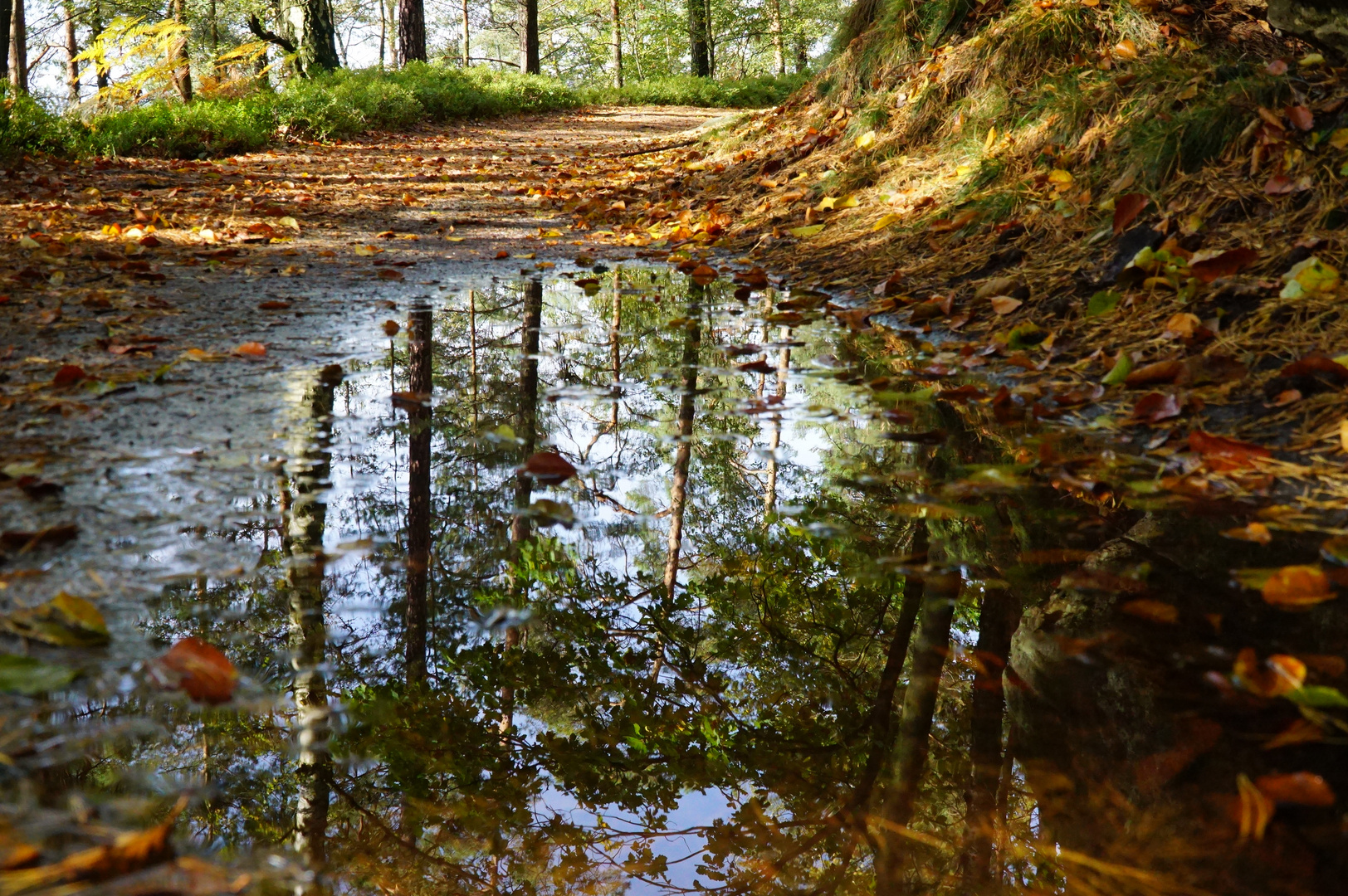 Wanderweg