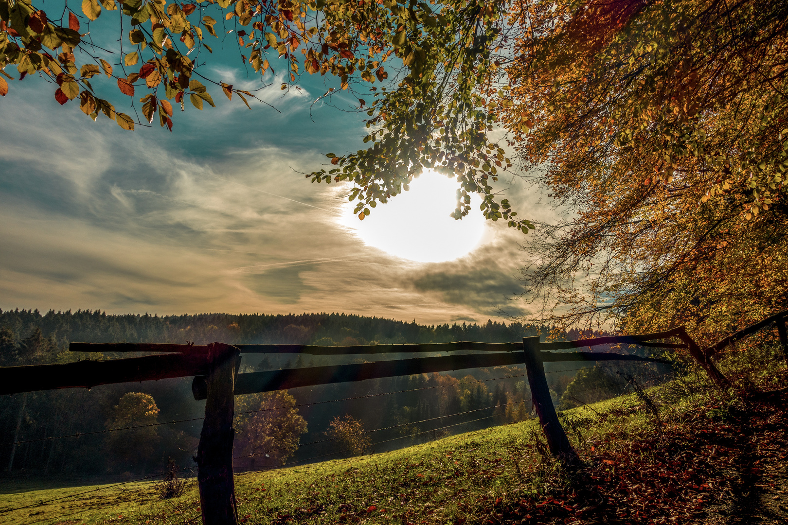 Wanderweg Dörenberg