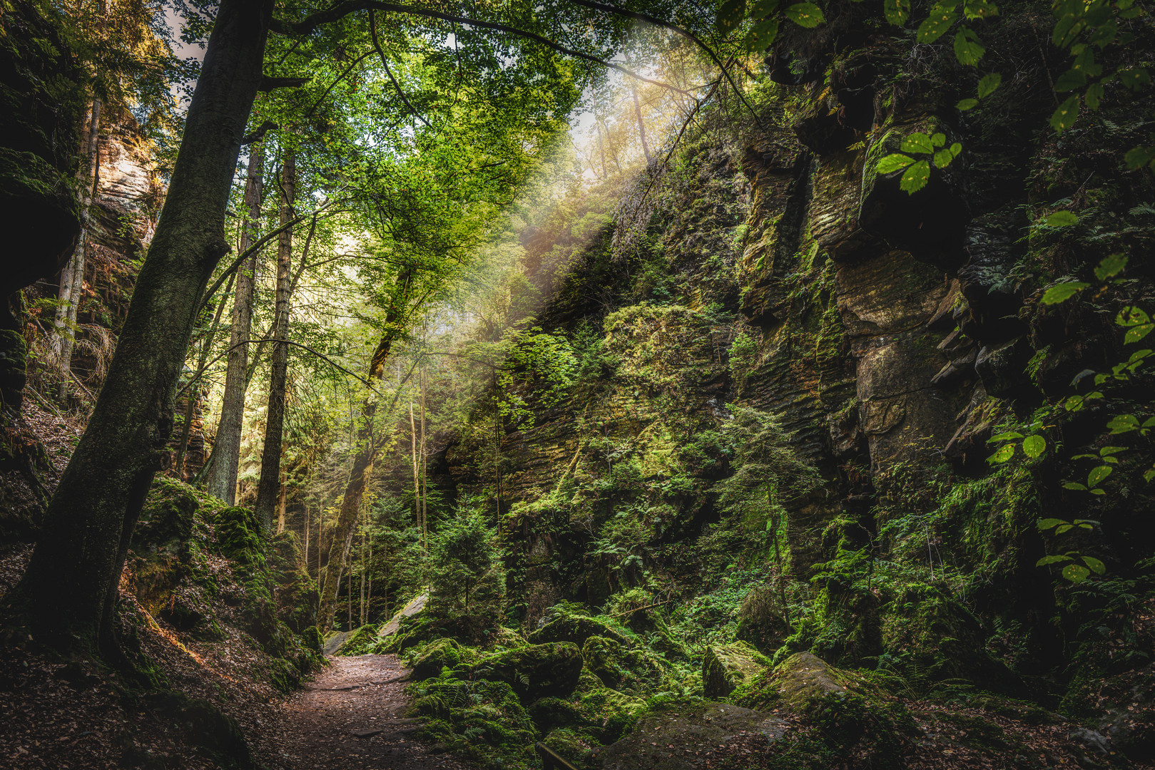 Wanderweg durch den Liebethaler Grund