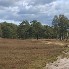 Wanderweg durch die Heide