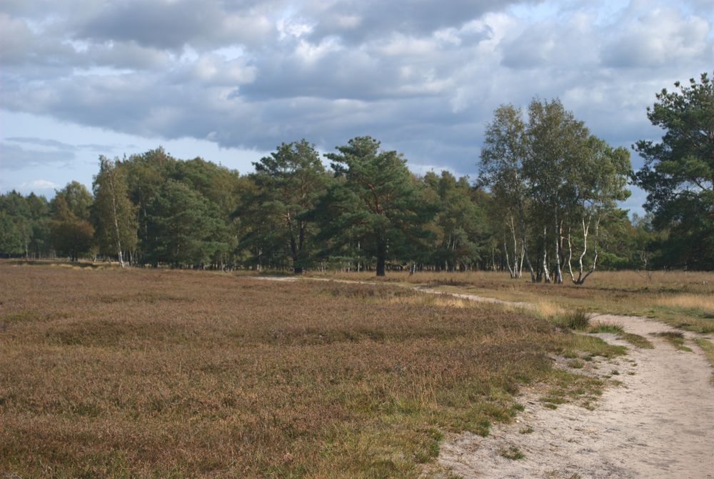 Wanderweg durch die Heide