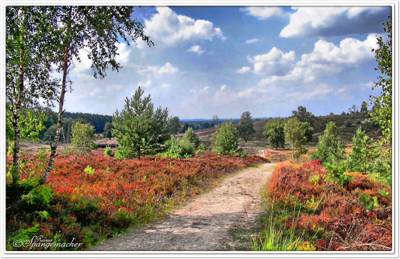 Wanderweg durch die Weseler Heide