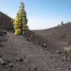 Wanderweg durch Vulkanlandschaft