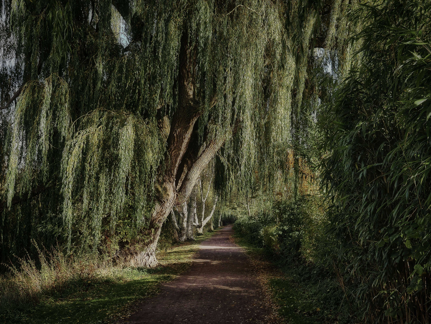 Wanderweg