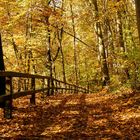 Wanderweg entlang der Irreler Wasserfälle