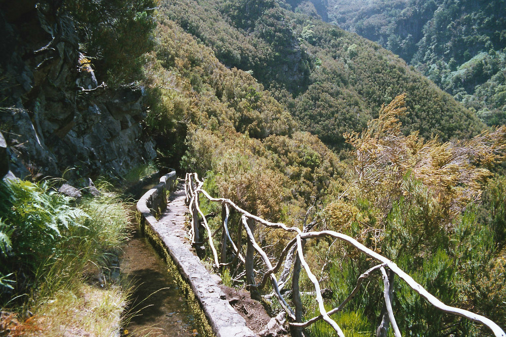 Wanderweg entlang einer Levada in Rabacal-Madeira/Portugal