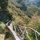 Wanderweg entlang einer Levada in Rabacal-Madeira/Portugal