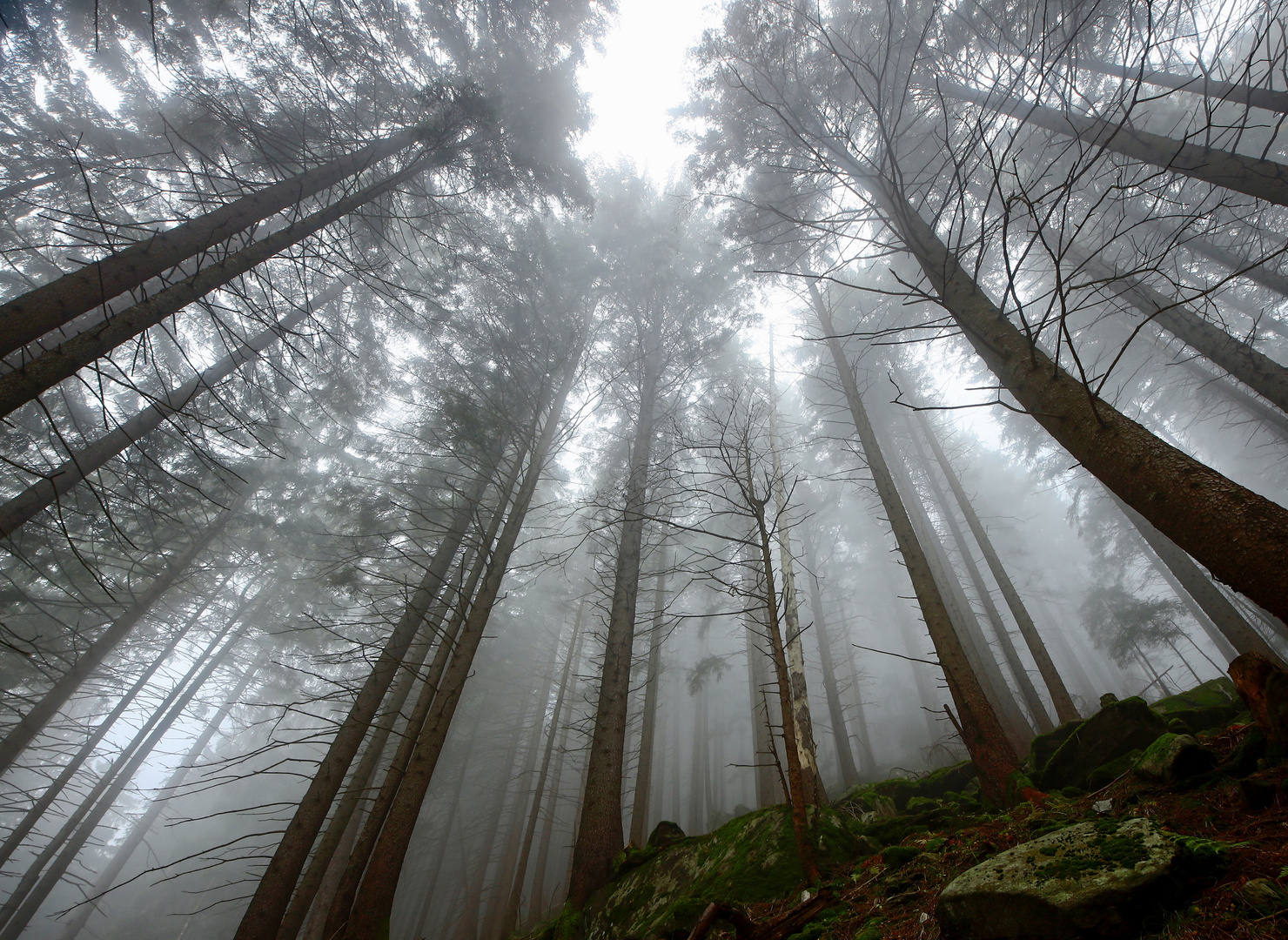 Wanderweg , Etzlital