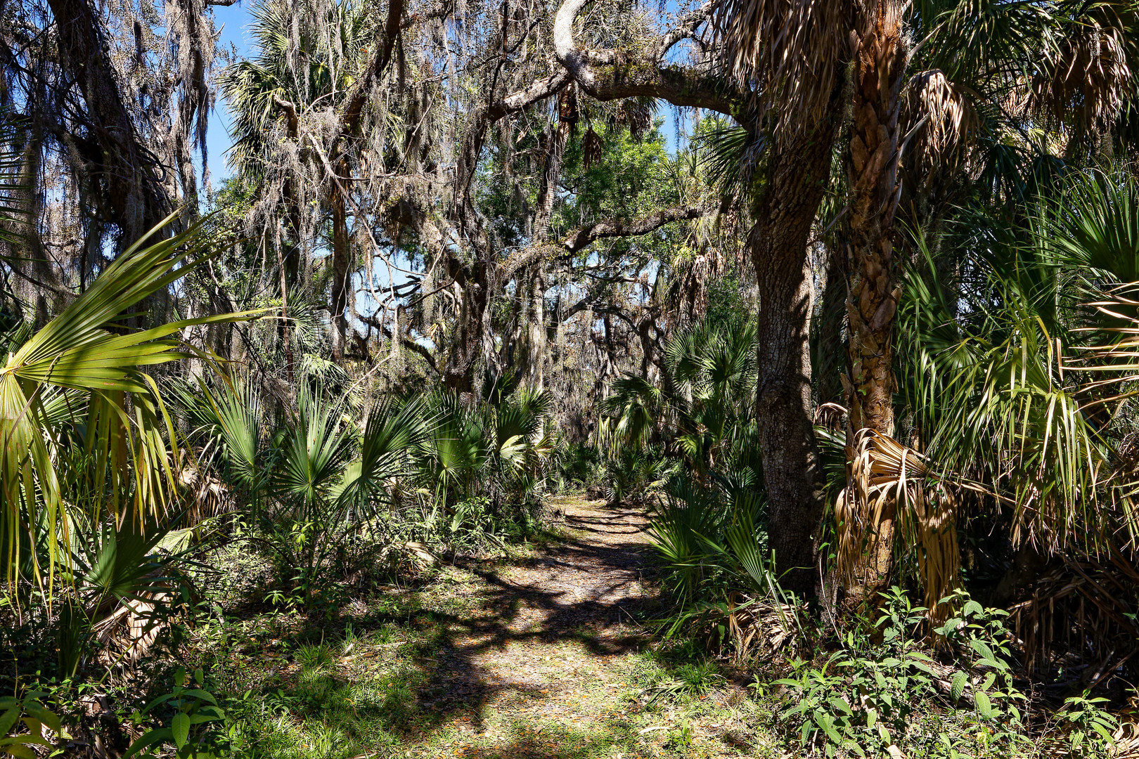 Wanderweg