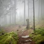 Wanderweg Golzern - Waldiberg