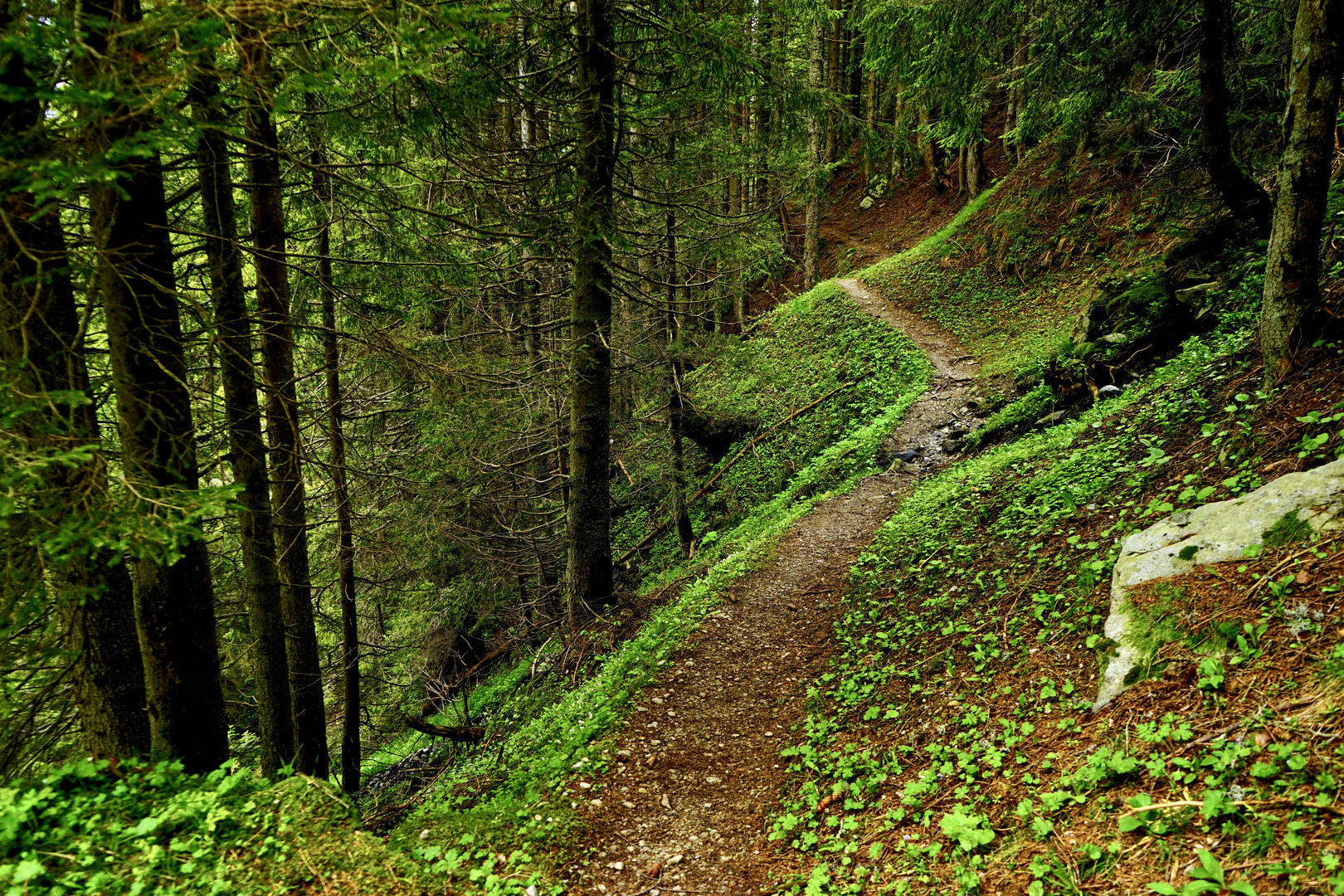 Wanderweg   Golzern - Waldiberg