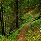 Wanderweg   Golzern - Waldiberg