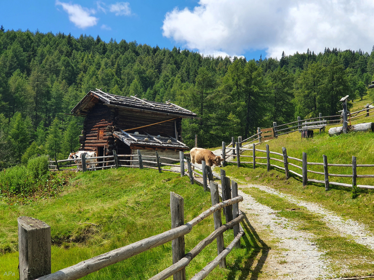 Wanderweg hinab 