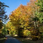 Wanderweg Hochheide-Willingen