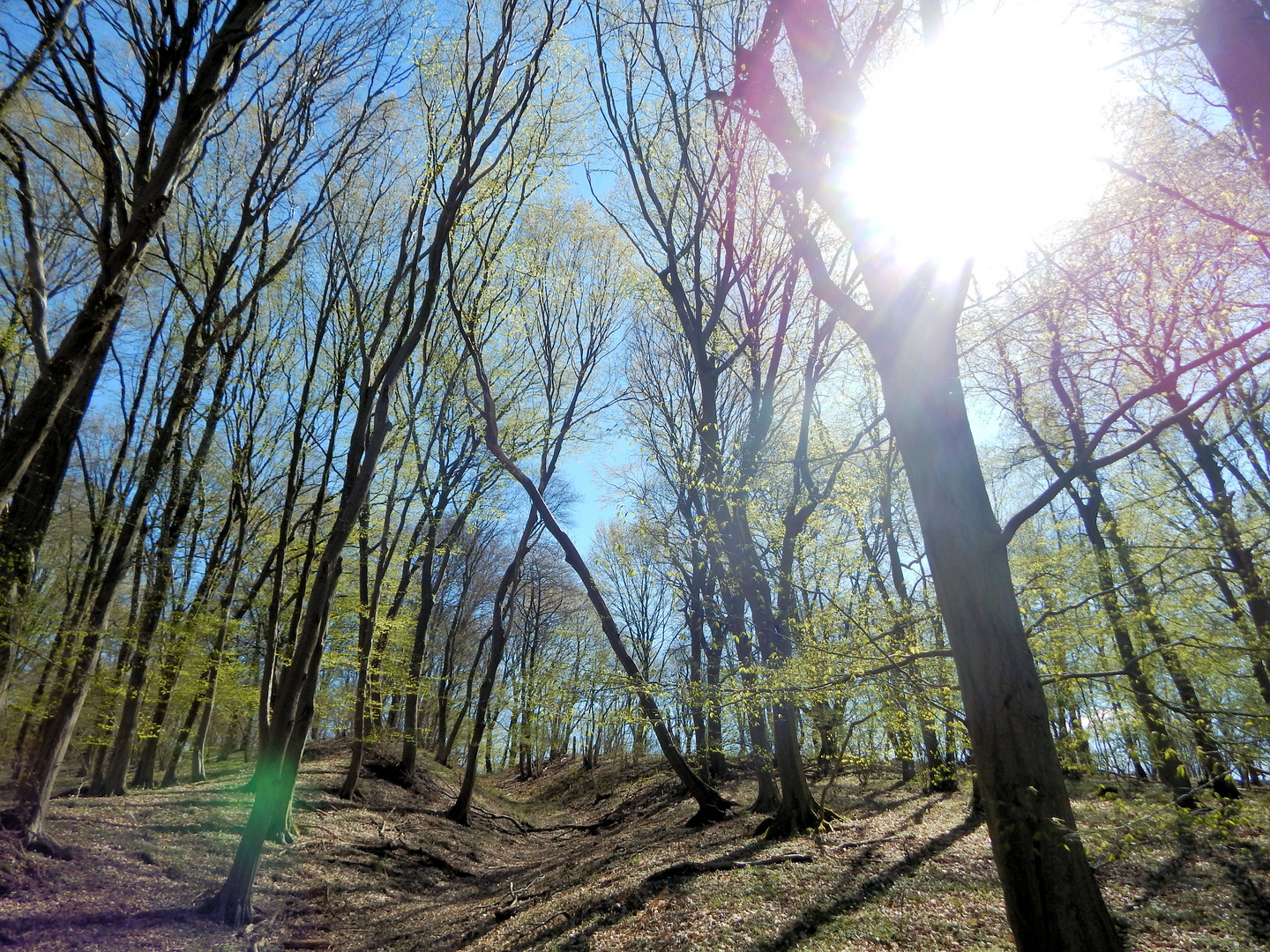 Wanderweg Höhbeck/Brünkendorf