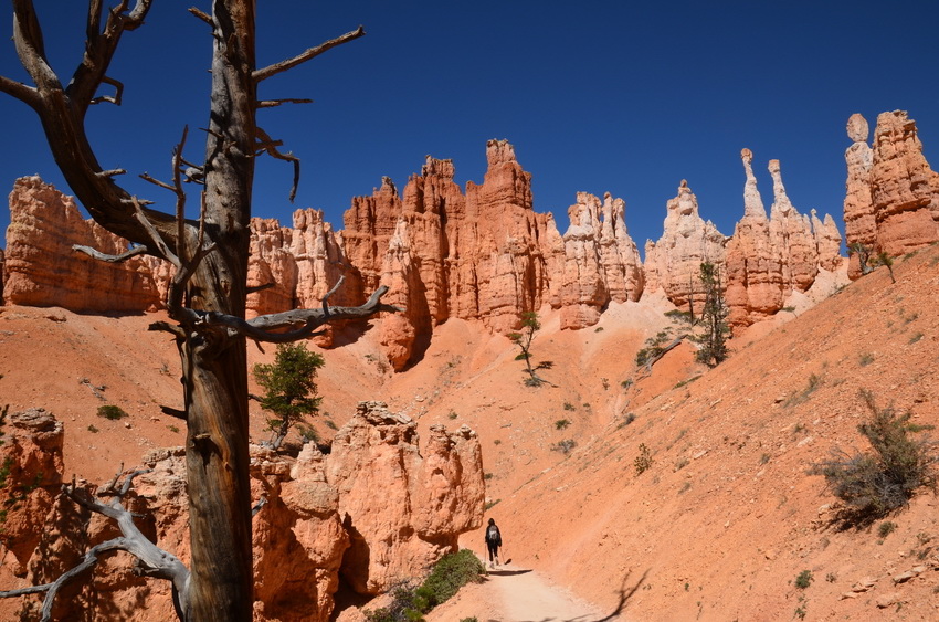 Wanderweg im Bryce Canyon