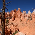 Wanderweg im Bryce Canyon