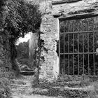 Wanderweg im Cinque Terre