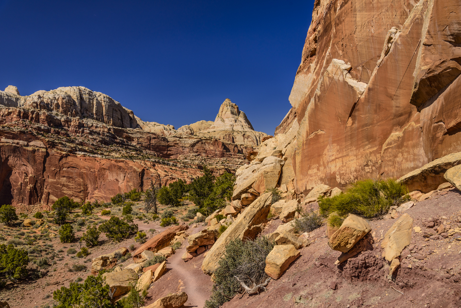 Wanderweg im Cohab Canyon, Capitol Reef National Park, Utah, USA