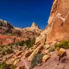 Wanderweg im Cohab Canyon, Capitol Reef National Park, Utah, USA