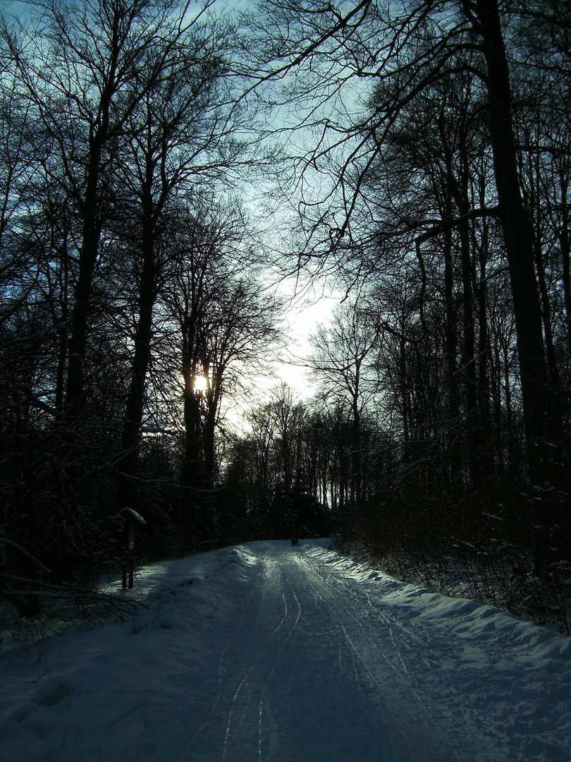 Wanderweg im Deister März 2010