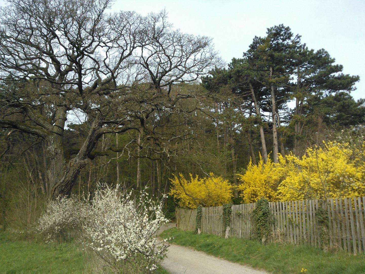 Wanderweg im Frühling