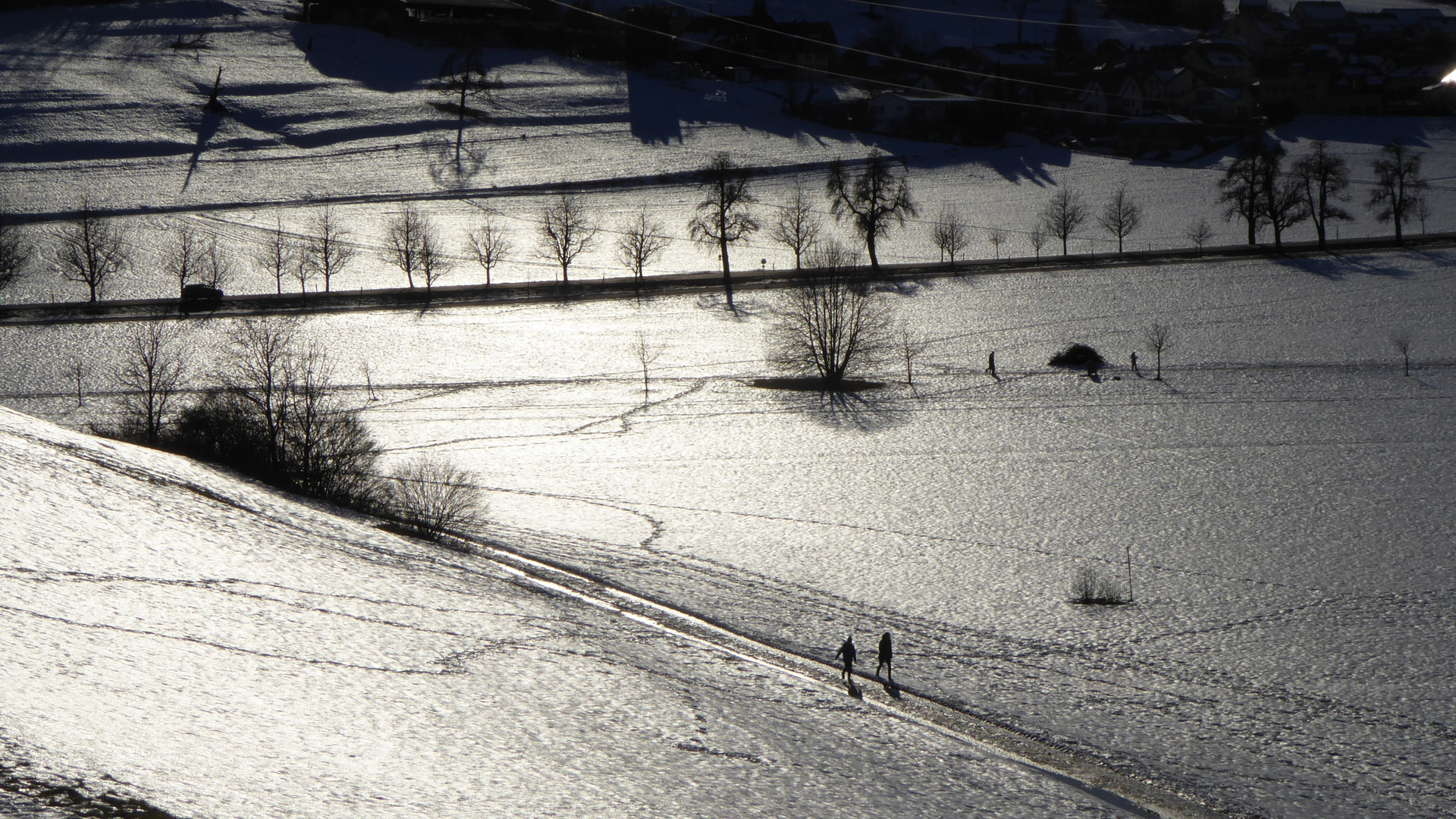 Wanderweg im Gegenlicht