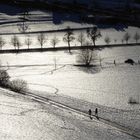 Wanderweg im Gegenlicht