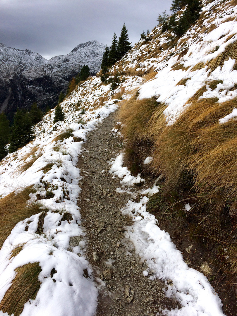 Wanderweg im Herbst