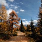 Wanderweg im Herbst