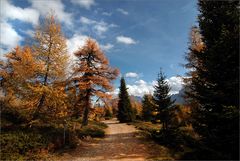 Wanderweg im Herbst