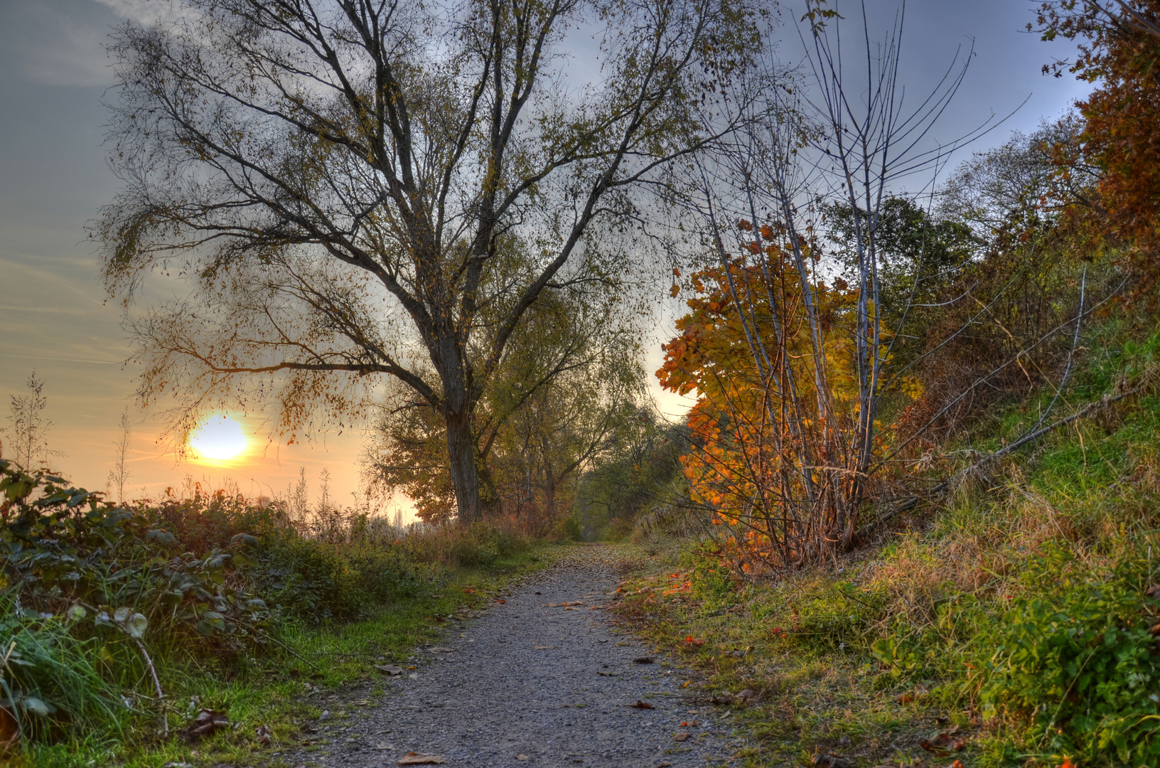 Wanderweg im Herbst