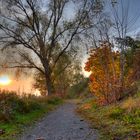 Wanderweg im Herbst